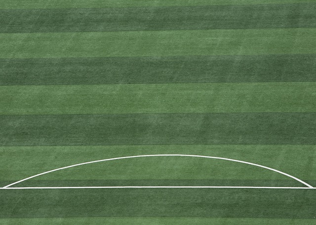 炜在自己的 炜在自己的