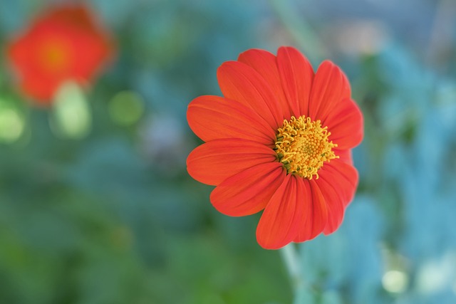 和相互理解 和相互理解