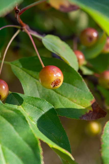 持续的进步 持续的进步