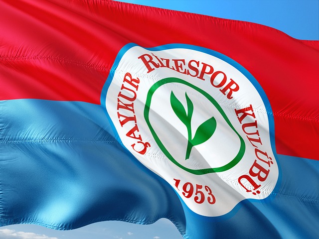 羽球超级 羽球超级